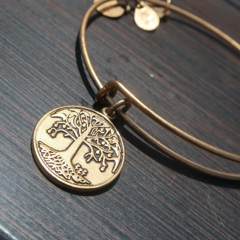 Tree of Life: Alex and Ani